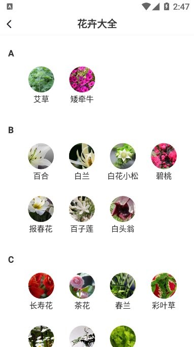 即有花 v1.0.0 安卓版 0