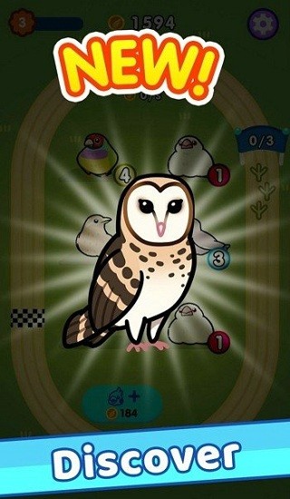 放置鳥樂園游戲(Idle Bird Racing) v1.0.1 安卓版 1