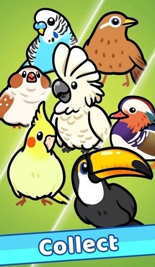 放置鳥樂園 放置鳥樂園手游