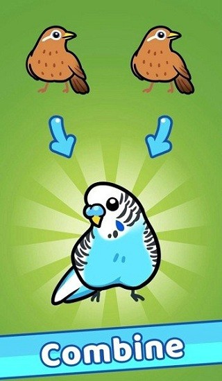 放置鳥樂園游戲(Idle Bird Racing) v1.0.1 安卓版 3