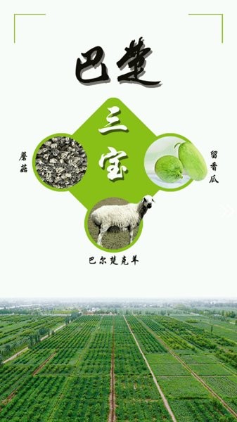 巴楚好地方3
