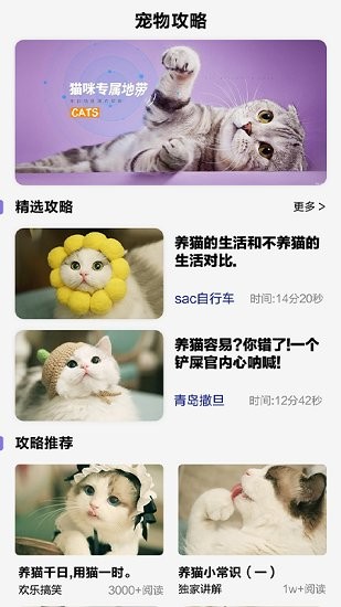 可愛喵喵壁紙大全 v1.0 安卓版 0