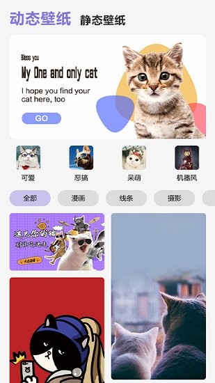 可愛喵喵壁紙大全 v1.0 安卓版 1