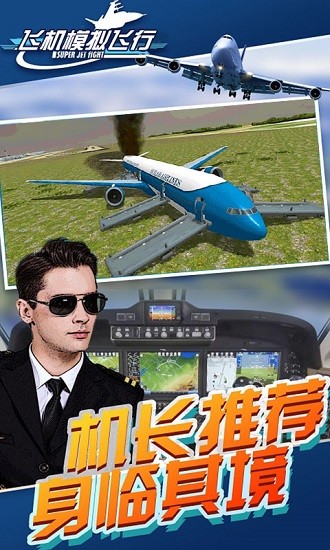 飛機模擬飛行器手機版 v1.0 安卓版 1