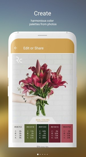 real colors真實(shí)色彩 v2.0.2 安卓版 0