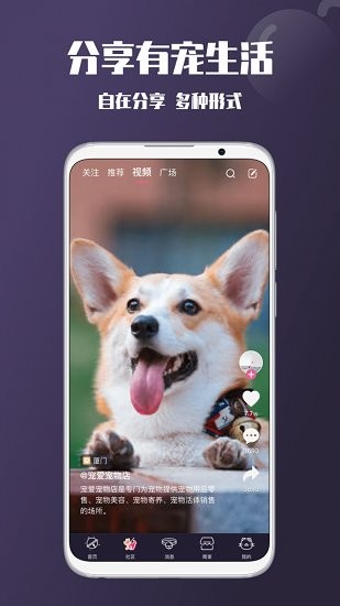 憨憨寵物 v1.0.0 安卓版 1