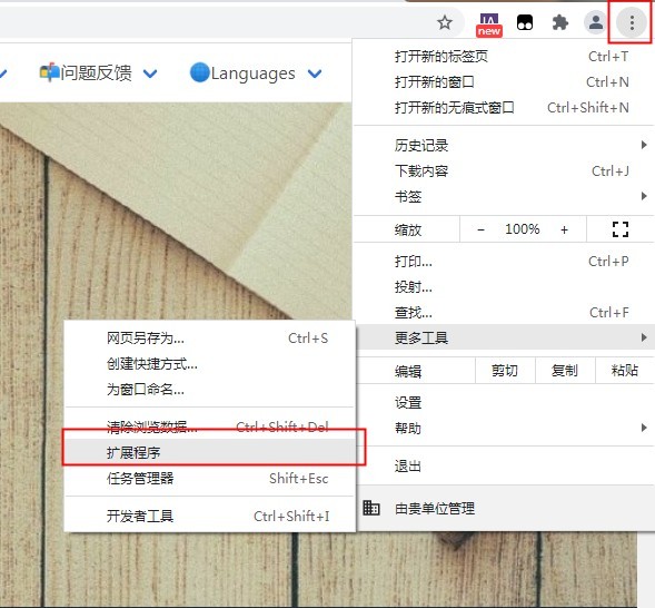 saladict插件下載