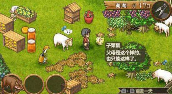 psp歡迎來到綿羊村漢化版 v2021.08.19.15 安卓版 1