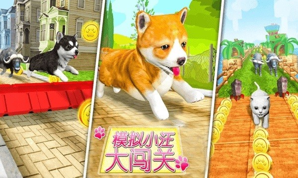 超級小汪大闖關 v1.0 安卓版 0