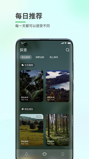 森林白噪音app v1.0.1 安卓版 2