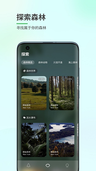 森林白噪音下載