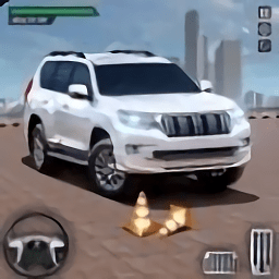 最佳停車大師手游(Prado Parking Simulator 2021)