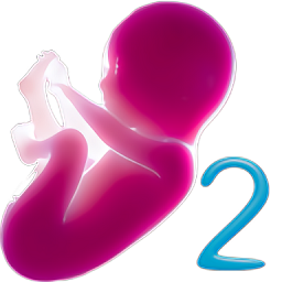 嬰兒模擬器2免費(fèi)版