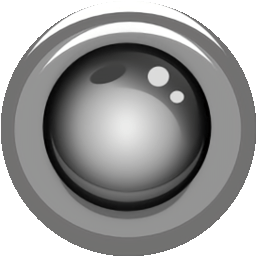 ip webcam中文版