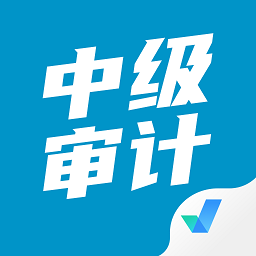 中級(jí)審計(jì)師考試試題