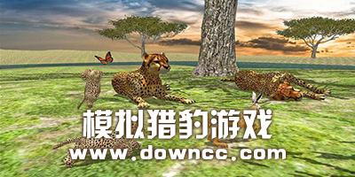 模擬獵豹游戲