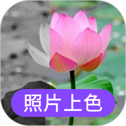 照片上色軟件免費(fèi)