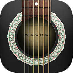 real guitar電吉他