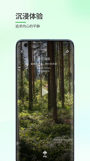 森林白噪音app v1.0.1 安卓版 0
