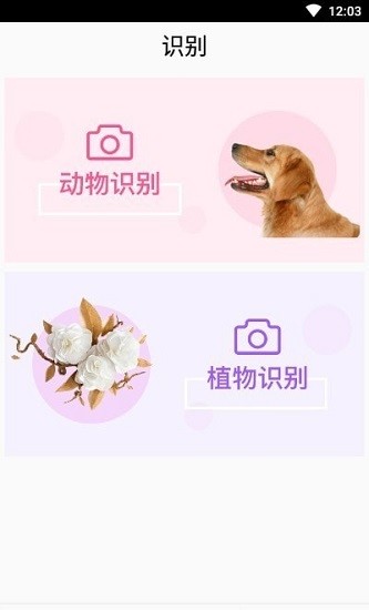 靈通植物識(shí)別官方版 v1.2 安卓版 0