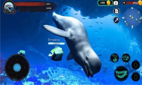 海洋大捕殺游戲