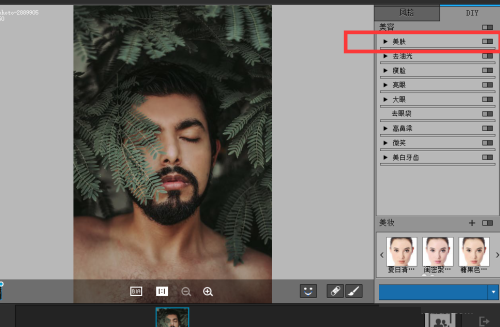portraitpro軟件