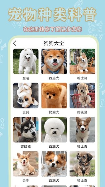 寵物大全app v1.0.3 安卓版 2