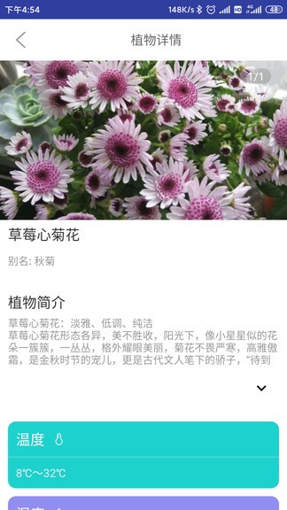 森林甜心0