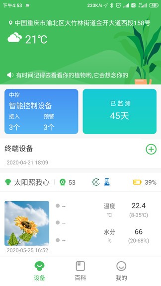 森林甜心1