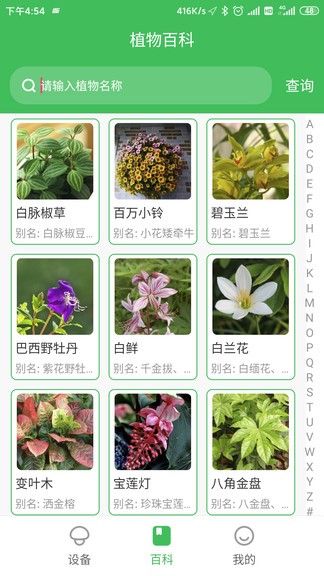 森林甜心2