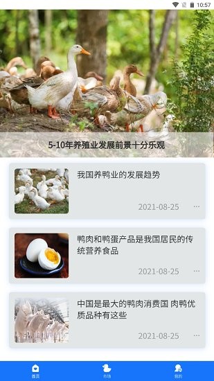 一起云養(yǎng)鴨 一起云養(yǎng)鴨下載