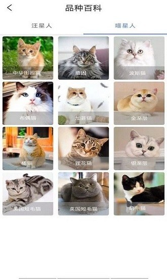 隨身動(dòng)物園官方正版 v1.0 安卓版 2