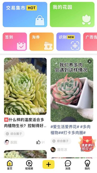 多肉圈 v4.0 安卓版 2