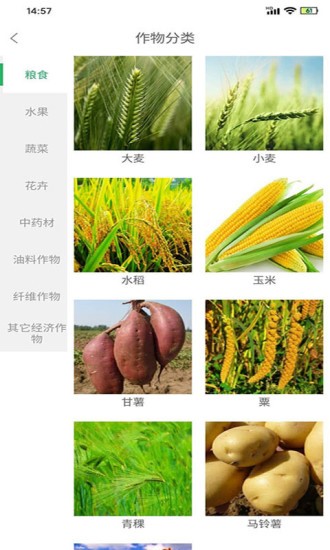 慧農品安平臺 v1.4.0 安卓版 1