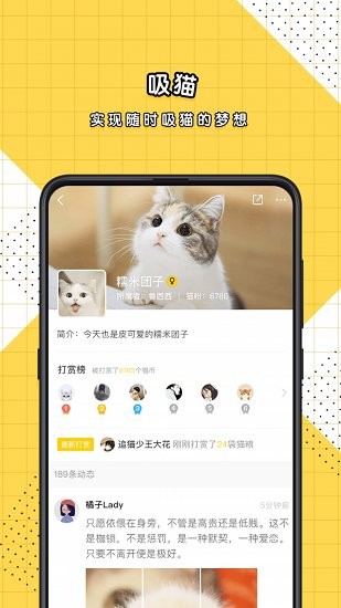 斗萌(寵物社區(qū)) v1.4.7.1129 安卓版 0