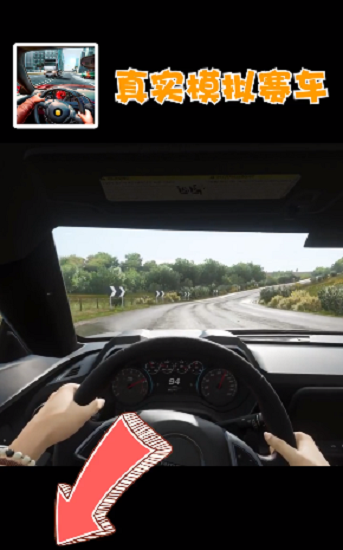 真實(shí)模擬賽車(駕駛游戲) v1.2.0 安卓版 1
