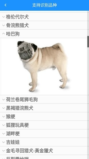 哈狗識別app v1.0 安卓版 0