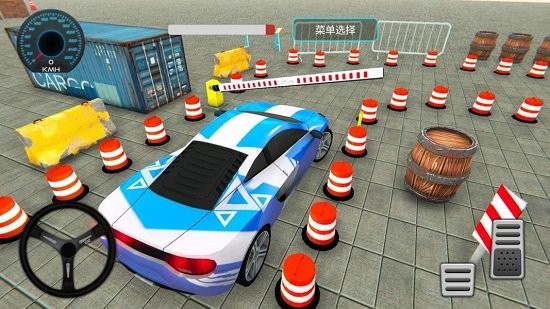 駕?？瓶寄M器免費(fèi)版 v1.0 安卓版 1