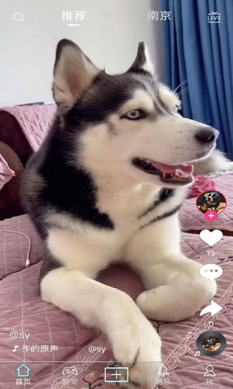 抖寵app下載