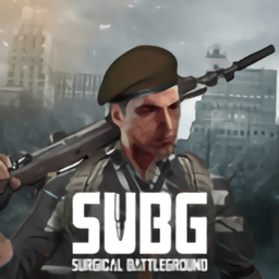 subg中文版