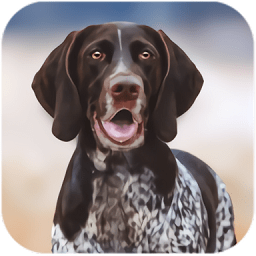 獵犬模擬器中文版