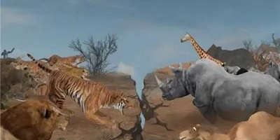 野生動物游戲