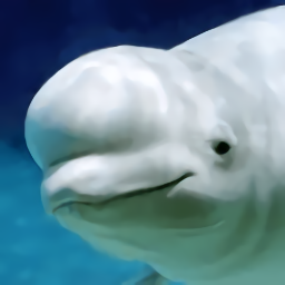 海洋大捕殺游戲
