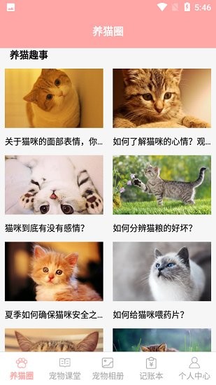 遇見我的貓最新免費(fèi)版