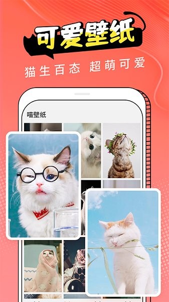 貓翻譯app v1.0 安卓版 0