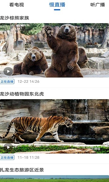 看齊新聞app v1.9.3 安卓版 0
