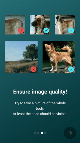 狗狗鑒定器app v17.2.1-G 安卓版 0