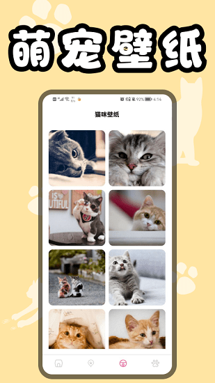 貓貓翻譯器軟件 v1.1 安卓版 1