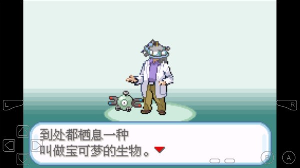 精靈寶可夢(mèng)夢(mèng)之紅寶石
