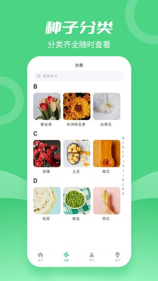 種子大全軟件0
